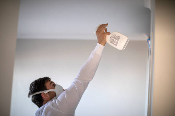 Best Professional Mold Removal  in Camp Wood, TX