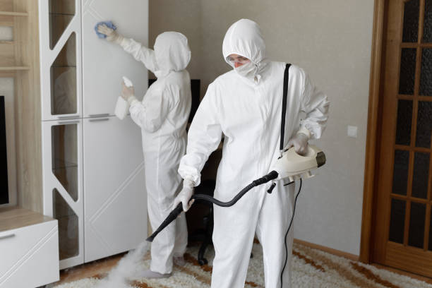Best Mold Cleaning Services  in Camp Wood, TX