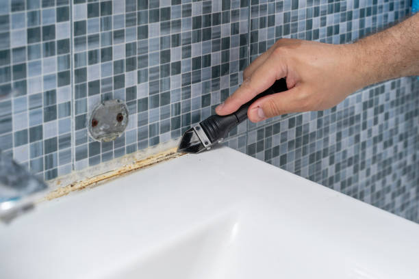 Best Best Mold Removal Companies  in Camp Wood, TX