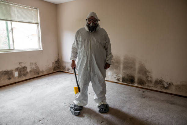 Best Mold Remediation  in Camp Wood, TX